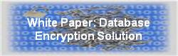 White Paper: Database Encryption Solution